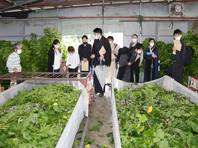 養蚕現地研修会